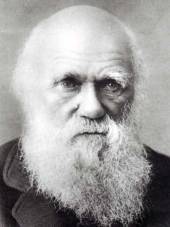 darwin-as-an-old-man-337-450-17